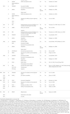 Protein of a thousand faces: The tumor-suppressive and oncogenic responses of p53